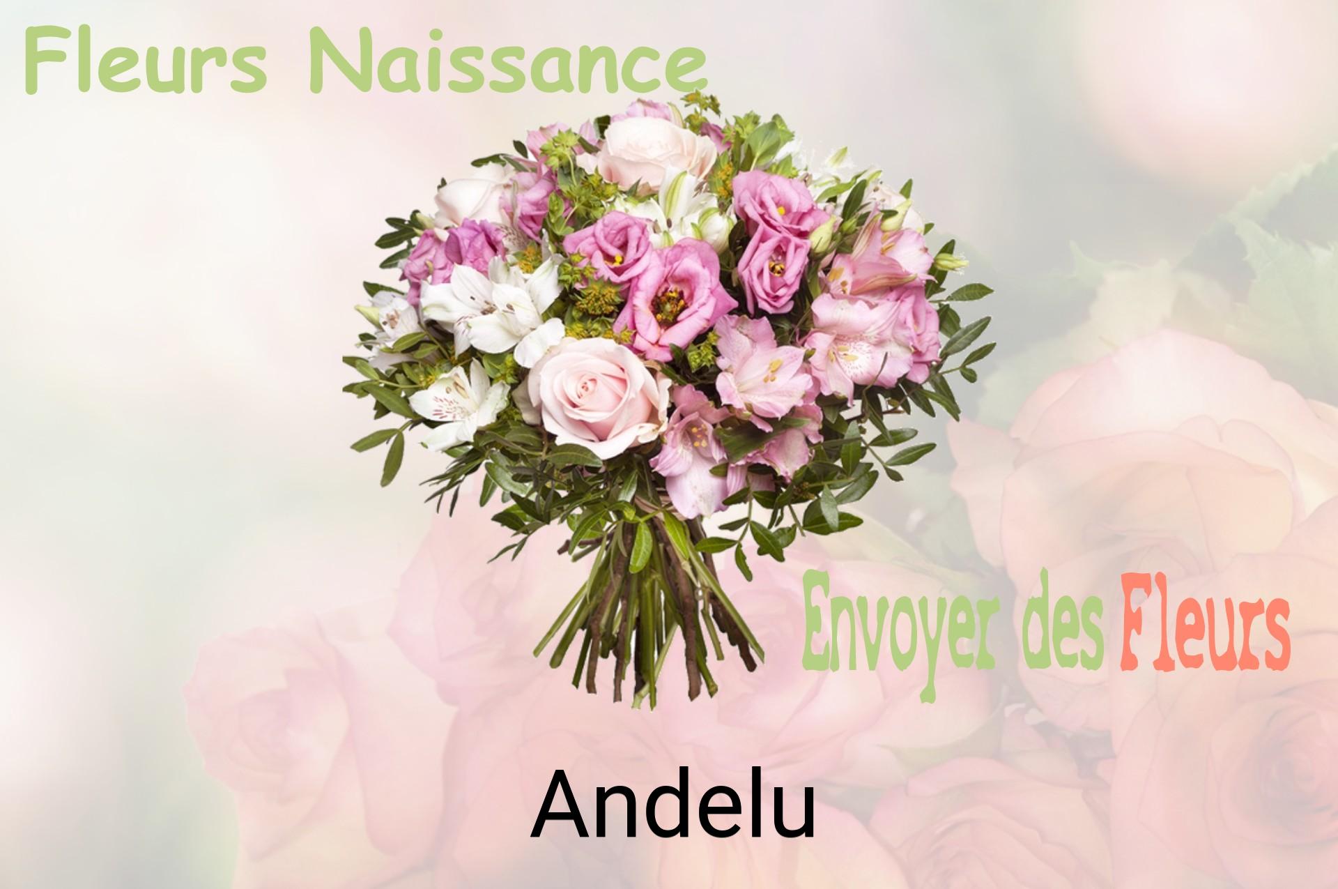 Bouquet de fleurs de naissance livré à Andelu